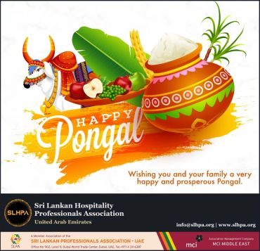 Thai Pongal